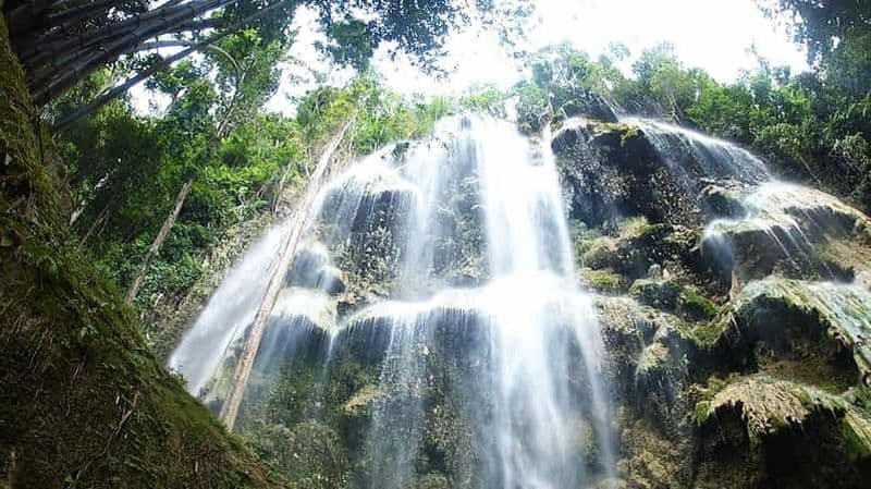 Billet Cebu : WhaleShark, chutes de Tumalog et plongée en apnée à Sardine Run