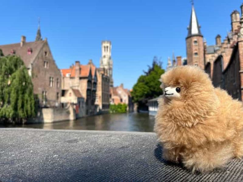 Billet Visite à pied et dégustation à Bruges