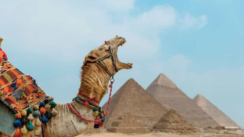 Billet Au départ du Caire : Balade à dos à chameau ou à cheval autour des pyramides de Gizeh.