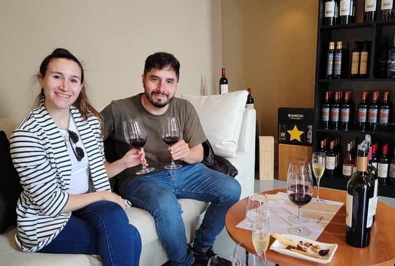 Billet Mendoza : visite guidée des meilleurs vignobles avec transport