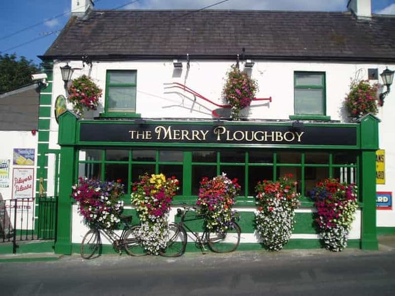Billet Dublin : Spectacle de la nuit irlandaise au Merry Ploughboy Pub