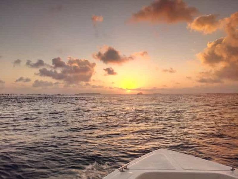 Billet Maldives : croisière au coucher du soleil avec observation des dauphins