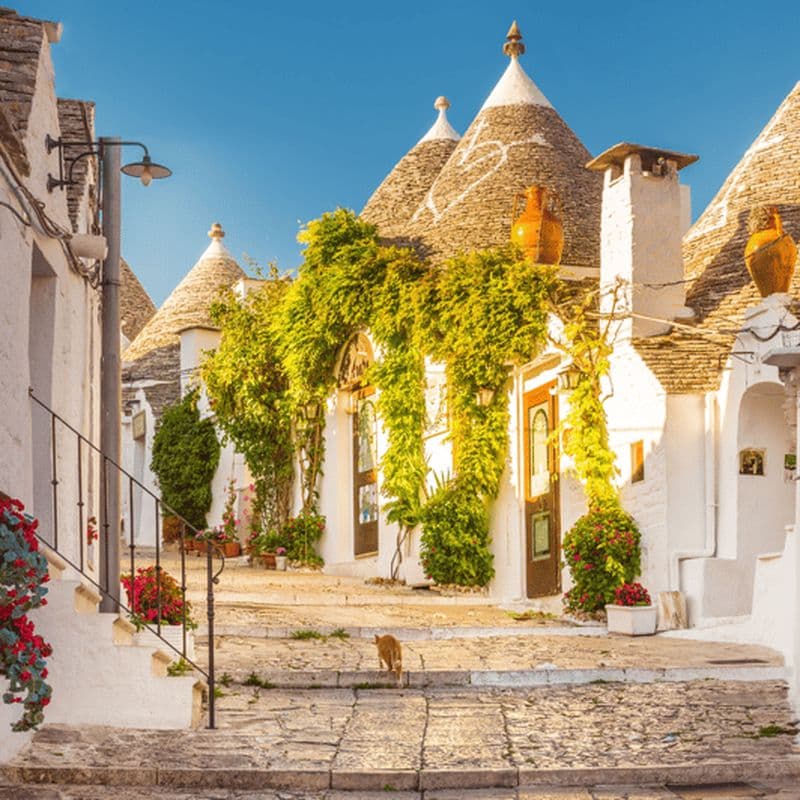 Billet Visite guidée des Trulli d'Alberobello avec transfert inclus