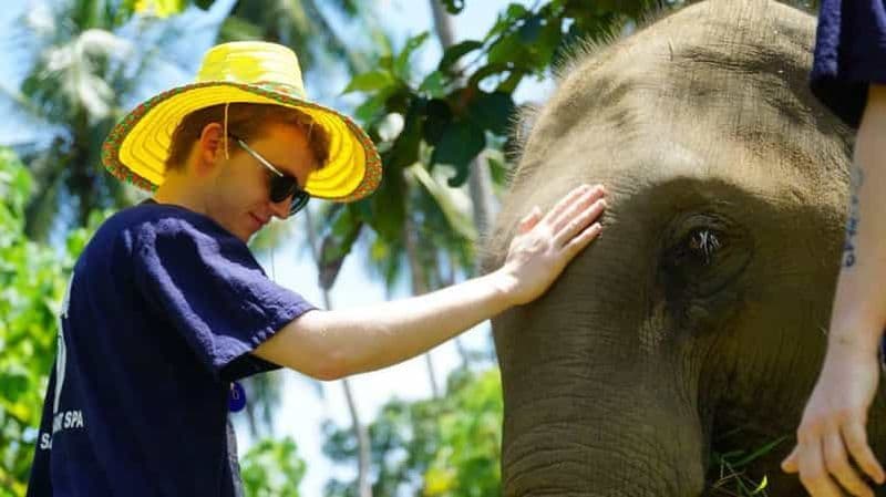 Billet Koh Samui : demi-journée dans un sanctuaire d'éléphants éthique avec spa de boue