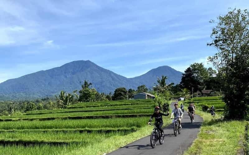 Billet Bali : excursion à vélo, sources chaudes et village des oiseaux