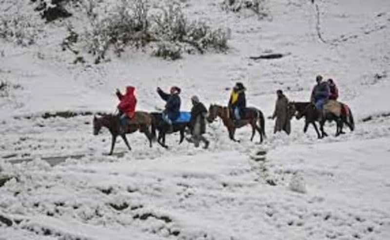 Billet Excursion d'une journée à Gulmarg : balade à cheval à travers des paysages pittoresques