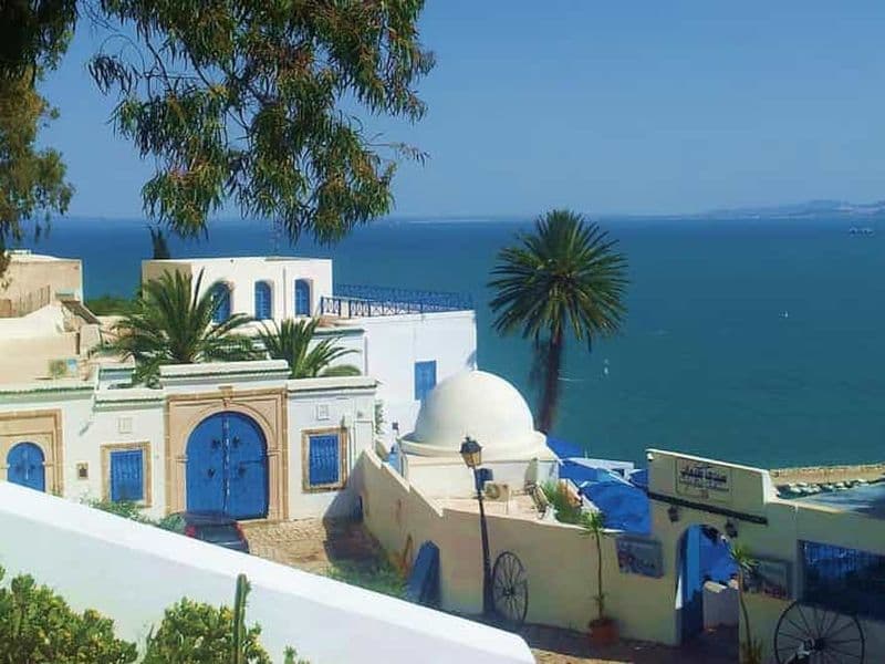 Billet Tunis : Médina, Carthage, Sidi Bousaid Excursion privée avec déjeuner
