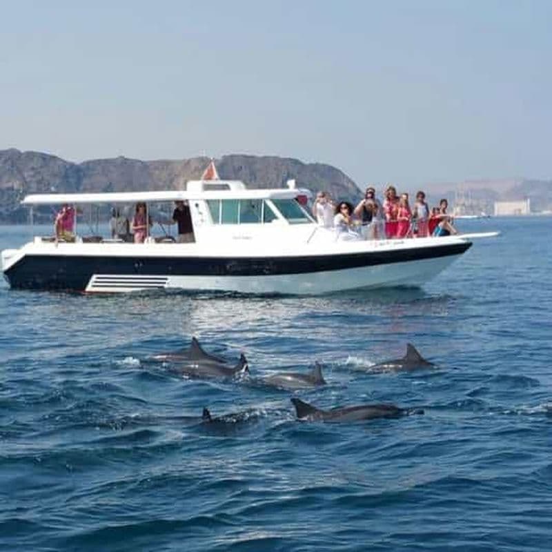 Billet Observation des dauphins à Mascate et visite touristique de la côte