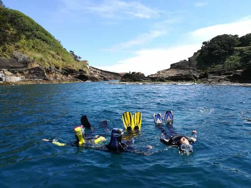 Billet Vila Franca do Campo : Excursion avec masque et tuba