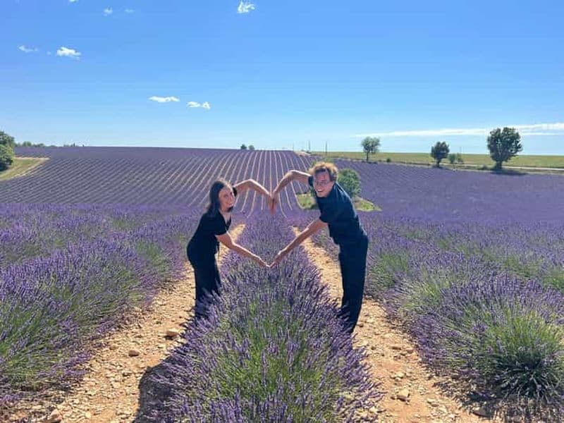 Billet Au départ de Marseille : excursion dans les lavandes de Valensole au départ du port de croisière