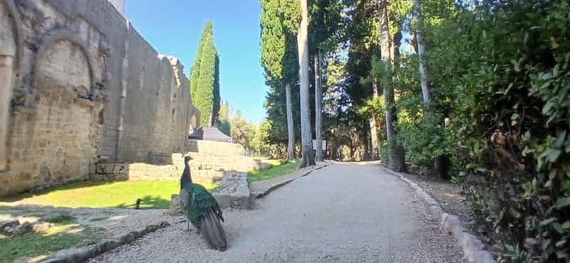 Billet Randonnée sur l'île de Lokrum : histoire, nature et récits