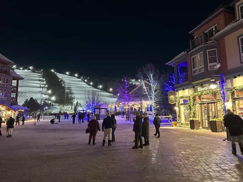 Billet Depuis Toronto : excursion d'une journée à Blue Mountain pour faire du ski et du snowboard