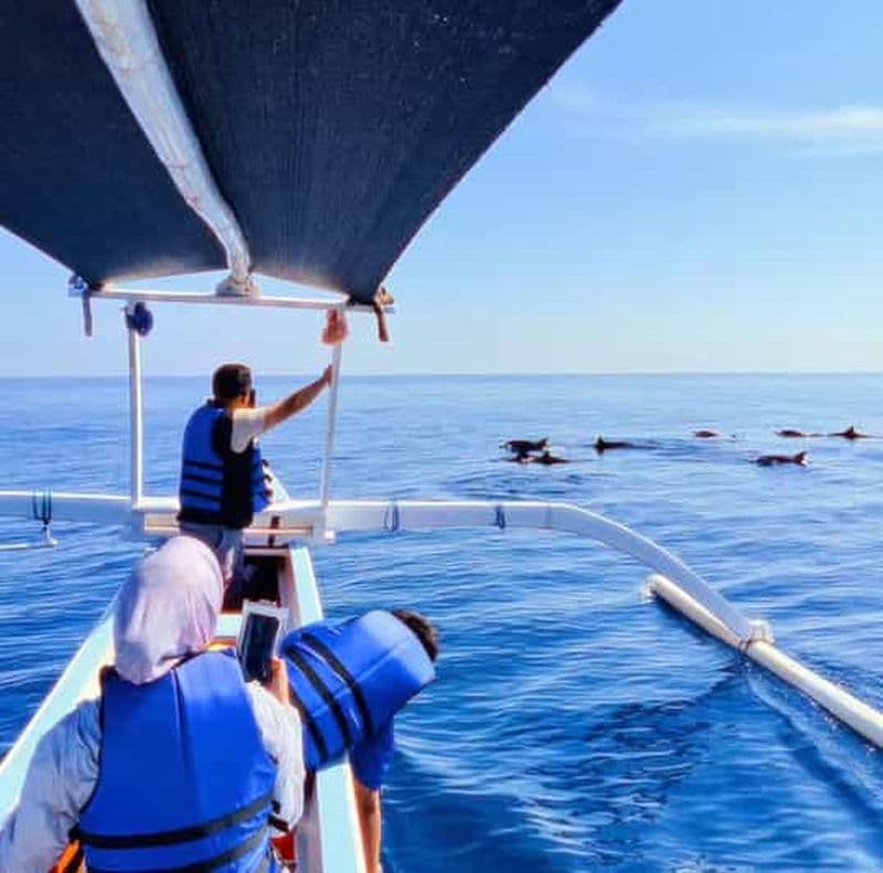 Billet Observation des dauphins de Lovina + Nage avec les dauphins Visite privée