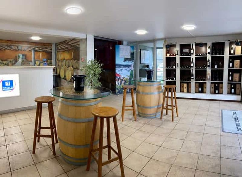 Billet Mèze: Visite Guidée du Domaine & Dégustation de Vins