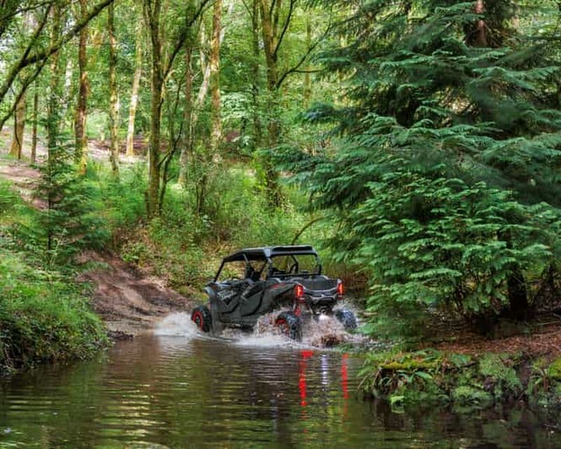 Billet Prozelo : excursion en buggy