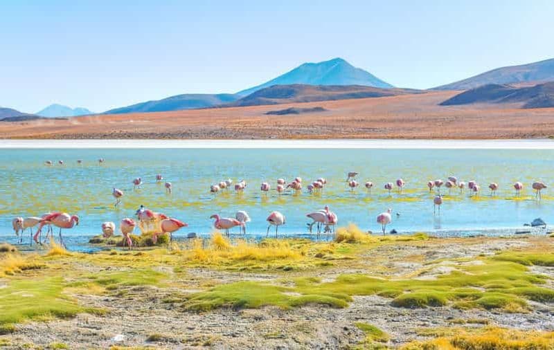 Billet Depuis Uyuni : Laguna Colorada et Salar de Uyuni 3 jours + repas