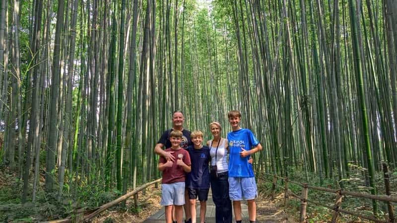 Billet Kyoto : Bambou d'Arashiyama, temple, Matcha, singes et secrets