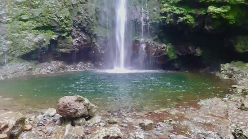 Billet Madère : Jungle Fever Levada Caldeirao Verde Hike Santana