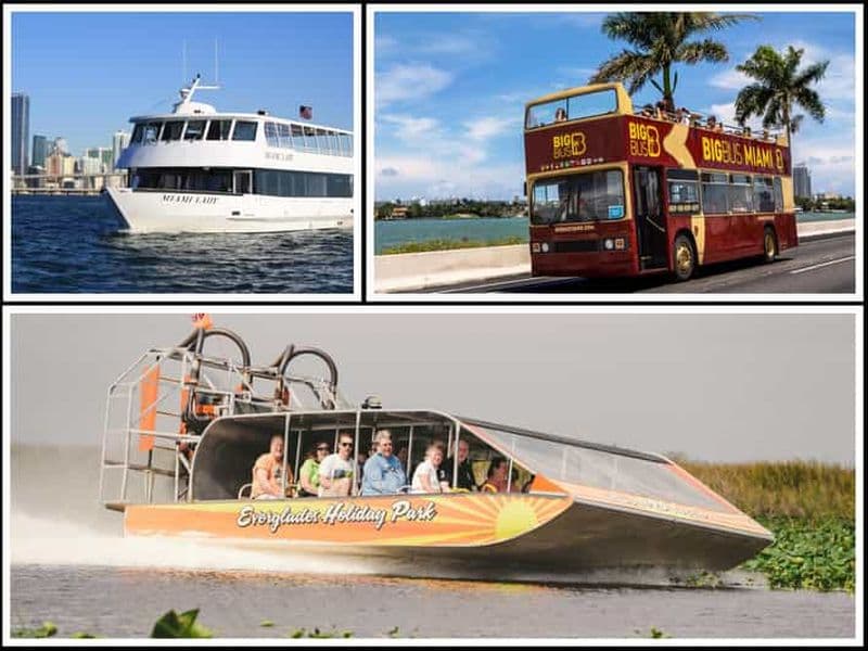 Billet Miami : Everglades, croisière et visite en bus à toit ouvert