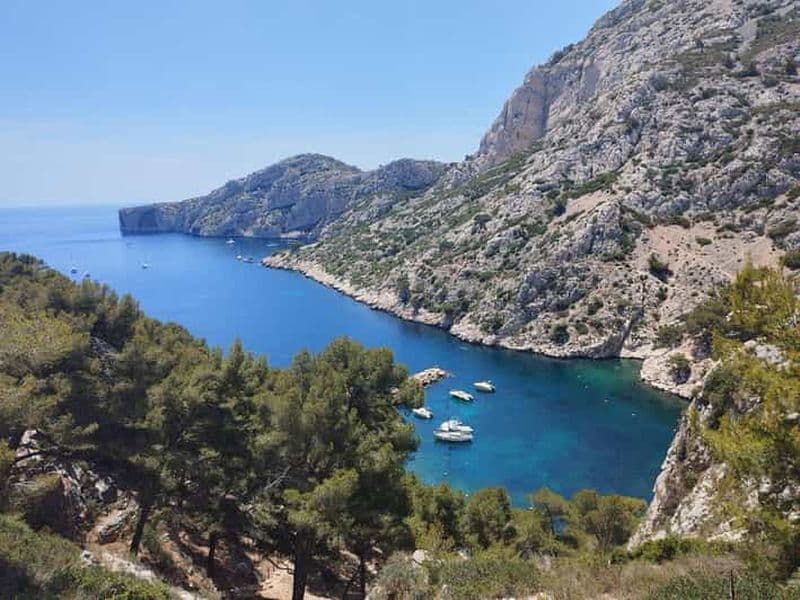 Billet Marseille : Randonnée guidée dans le parc national des Calanques à partir de Luminy