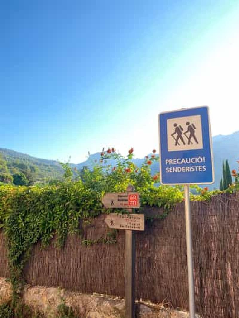 Billet Sóller : randonnée de la vallée des oranges au port avec une vue magnifique