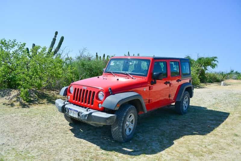 Billet Cabo San Lucas : Visite privée en jeep à Todos Santos