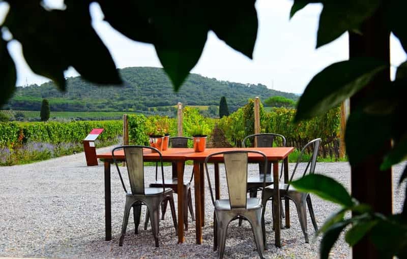 Billet Visite exclusive de Cortona, terre de la Syrah toscane
