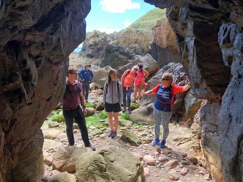 Billet Dublin : Randonnée safari à Howth