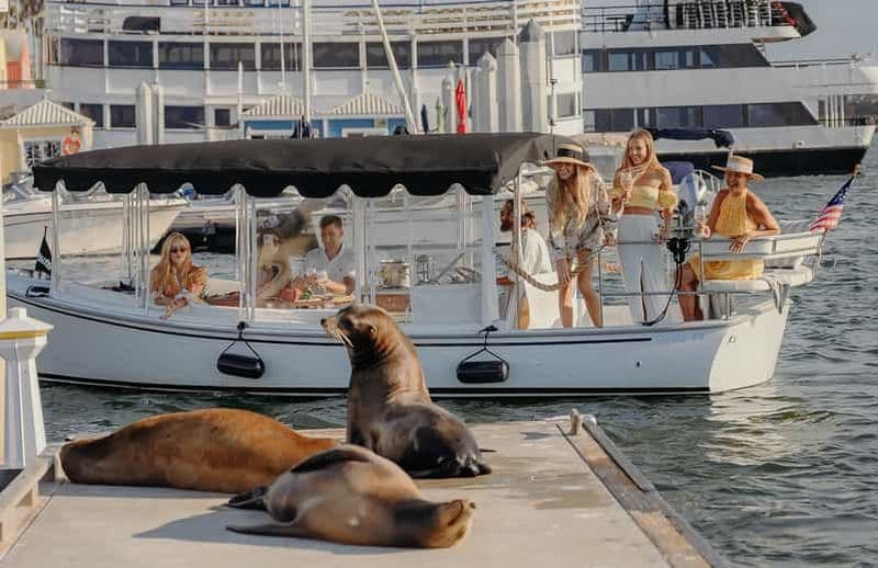 Billet Los Angeles : Croisière de luxe avec vin, fromage et otaries