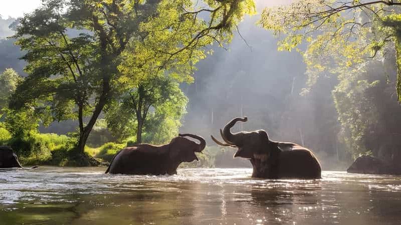 Billet Aventure à Thekkady : Safari en jeep hors route et visite de Vagamon