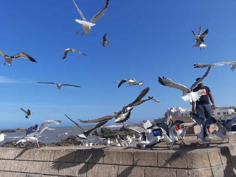 Billet Privat day trip from Marrakesh with Wine tasting