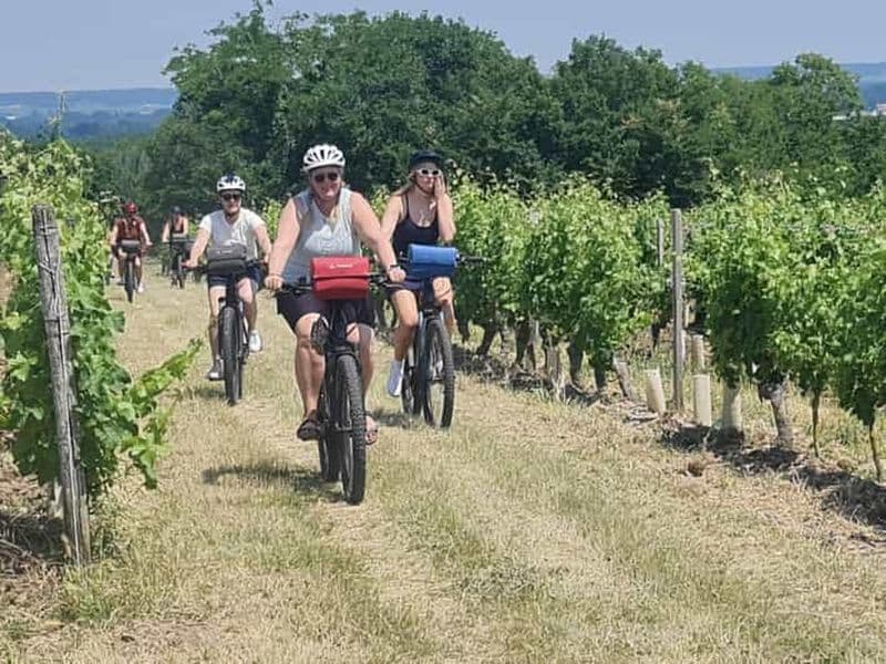 Billet Angers : Circuit cycliste avec dégustation de vins !