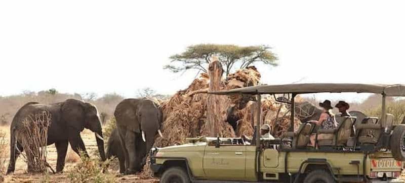 Billet Au cœur de Ruaha 4 jours 3 nuits