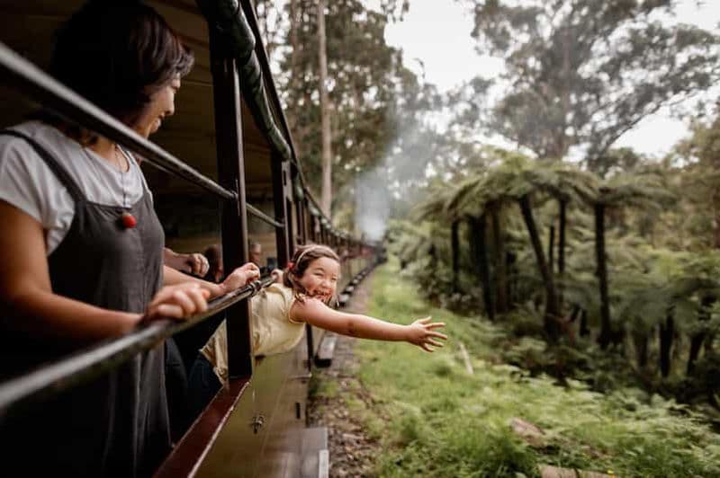 Billet Melbourne : aventure en train Puffing Billy et parade des pingouins