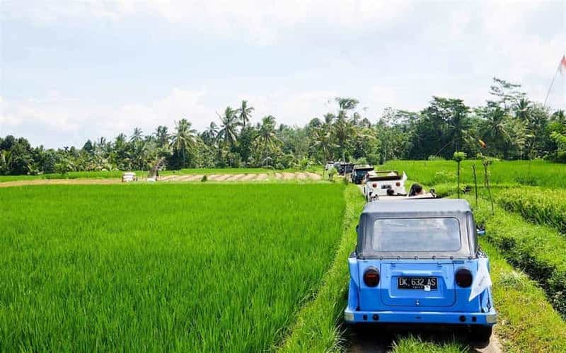 Billet Bali : Safari à la campagne en Jeep VW d'époque