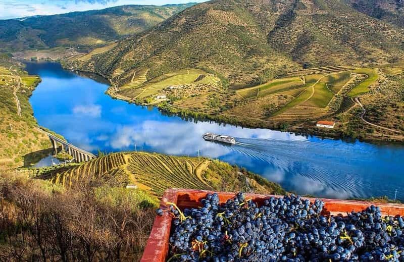 Billet Visite privative : vins et gastronomie de la vallée du Douro depuis Porto