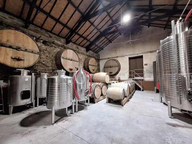 Billet Vallée du Douro : 2 caves, déjeuner et bateau