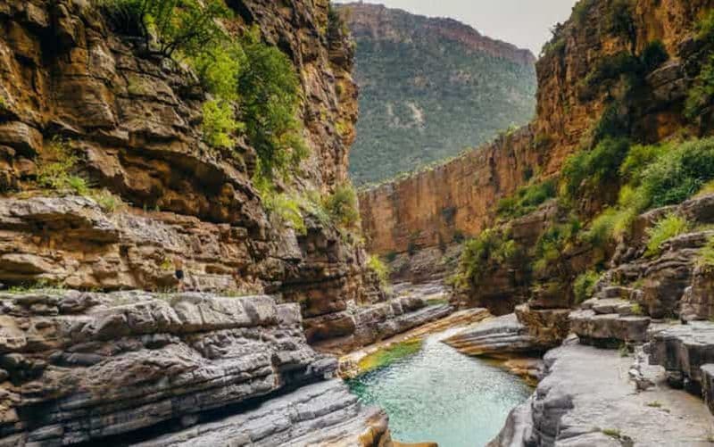 Billet Agadir ou Taghazout : Paradise Valley et Atlas Oasis Nature