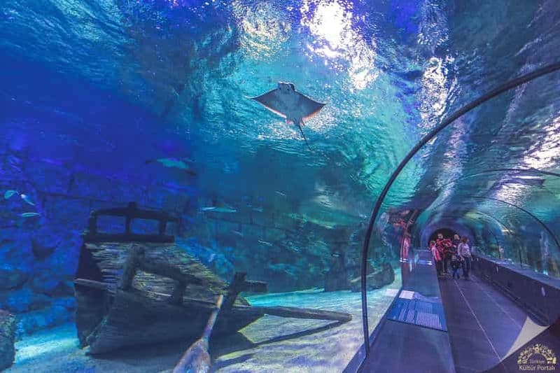 Billet Okurcalar/Alanya : Transfert aller-retour en bus de l'aquarium d'Antalya