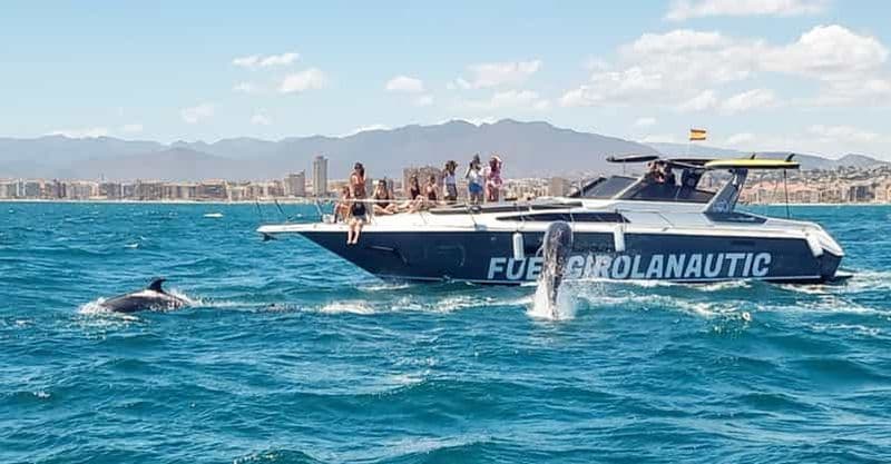 Billet Fuengirola : Observation des dauphins en yacht avec snacks et boissons
