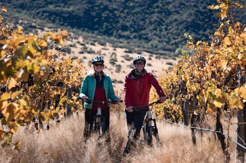 Billet Queenstown : Visite guidée à vélo des vignobles de la vallée de Gibbston