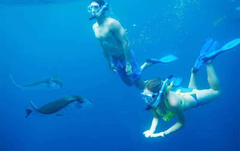 Billet Visite privée de Nusa Penida à Manta Point avec plongée en apnée et à terre