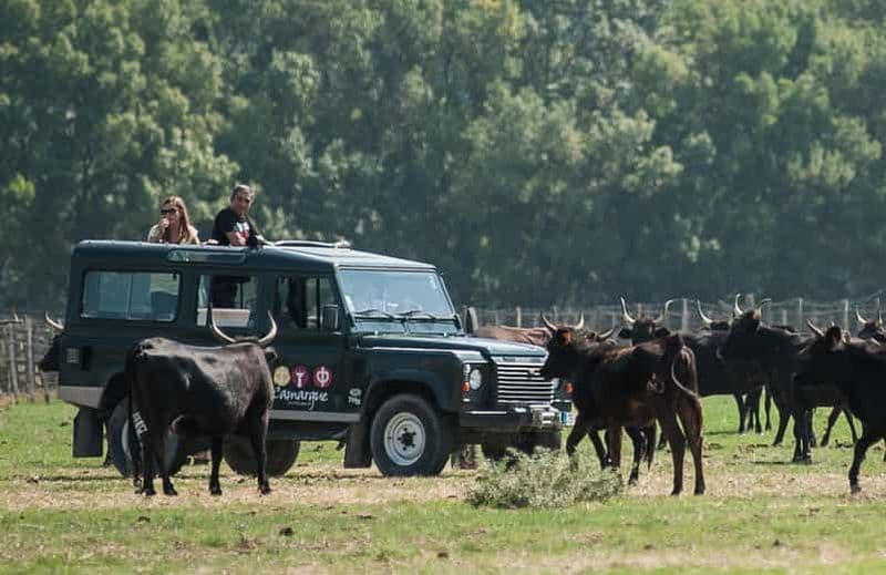 Billet Safari 4x4 en Camargue / Tour VIP 3h30 / Grau du Roi