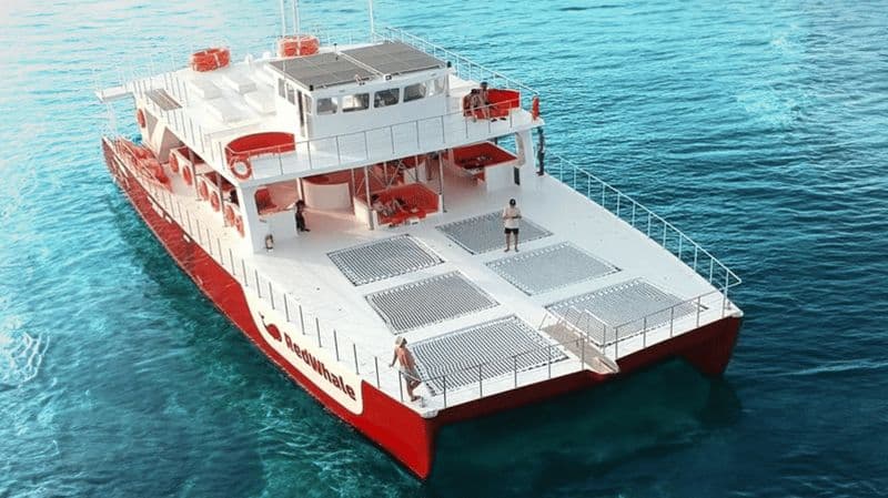 Billet Croisière au coucher du soleil à Boracay avec le RedWhale Party Yacht