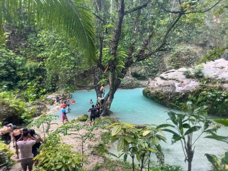 Billet Cebu : Requin-baleine, chutes d'Inambakan et excursion à Moalboal (sardines)