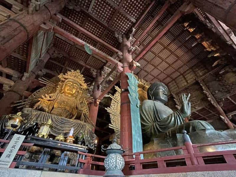 Billet Nara : visite guidée d'une demi-journée (Grand Bouddha, cerfs, sanctuaire, forêt)