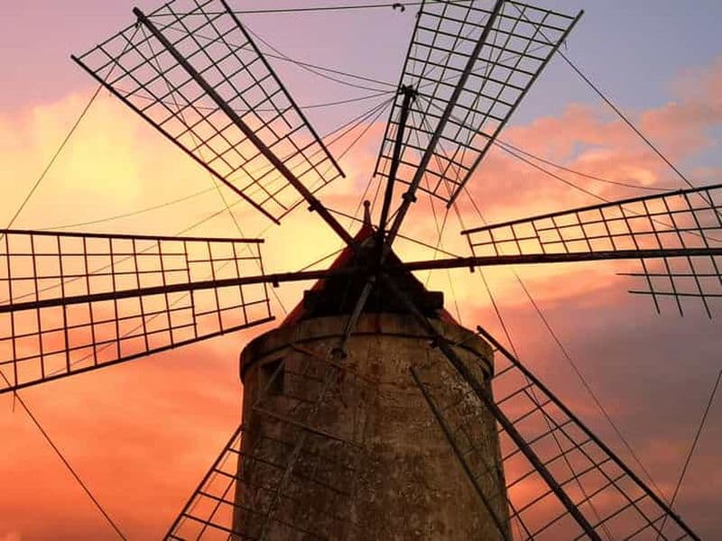 Billet Saline di Trapani : visite guidée de 2h30 sur le thème du sel