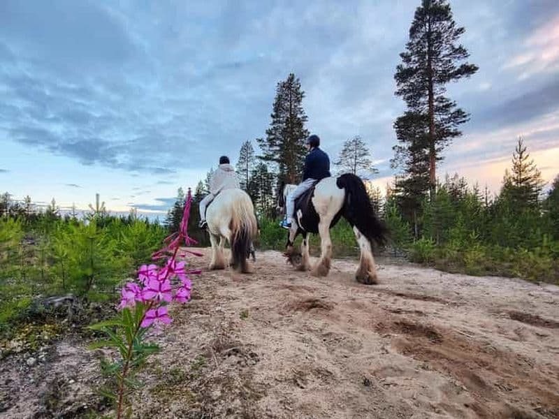 Billet Rovaniemi: Balade à cheval sous le soleil de minuit