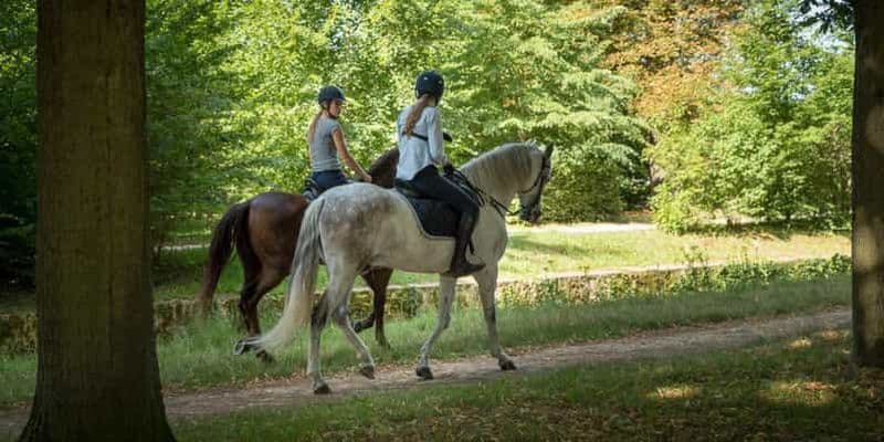 Billet Balade à cheval à Versailles Intimité & VIP