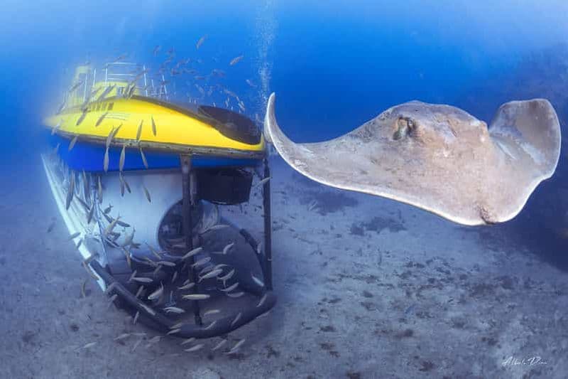 Billet Sud de Ténérife : plongée sous-marine de 50 minutes